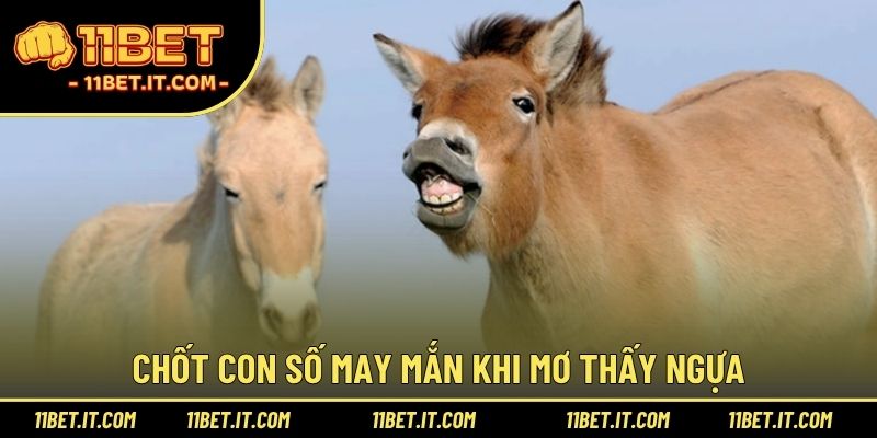 Chốt con số may mắn khi mơ thấy ngựa