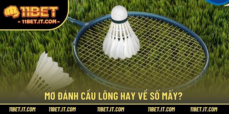 Mơ đánh cầu lông hay về số mấy?