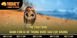 mơ thấy rắn