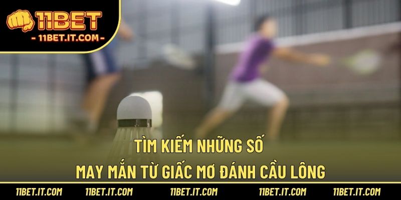 Tìm kiếm những số may mắn từ giấc mơ đánh cầu lông