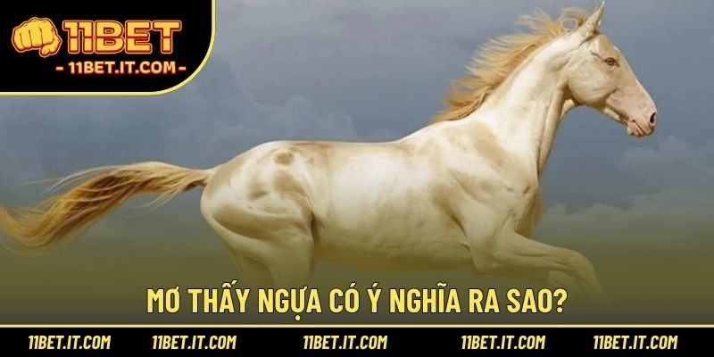 Mơ thấy ngựa có ý nghĩa ra sao?