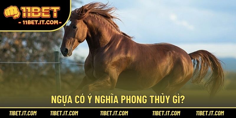 Ngựa có ý nghĩa phong thủy gì?